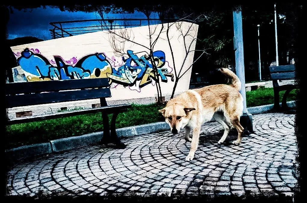 Copertina MASTER EsCAC