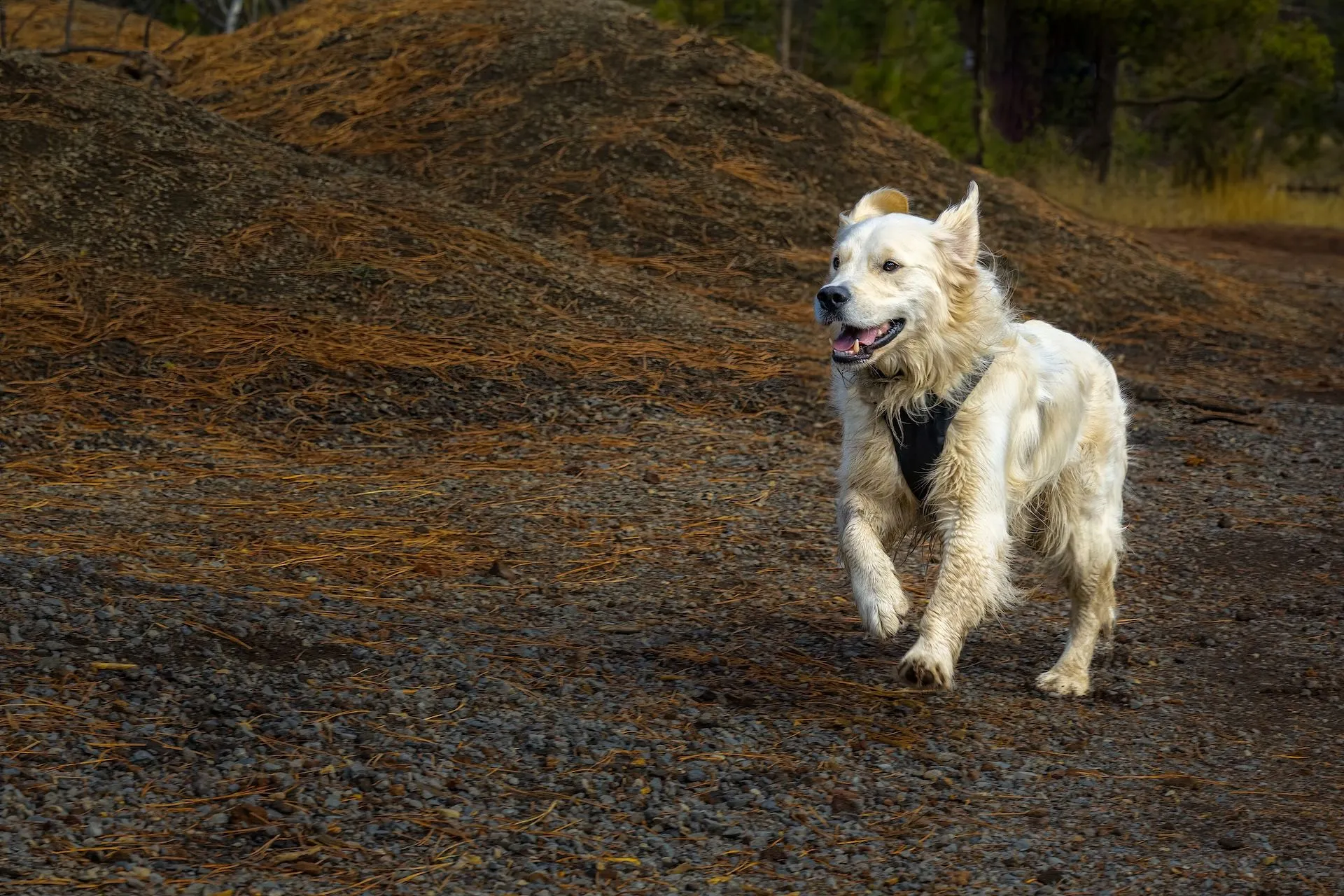 Copertina Conflitto, relazione e trasformazione