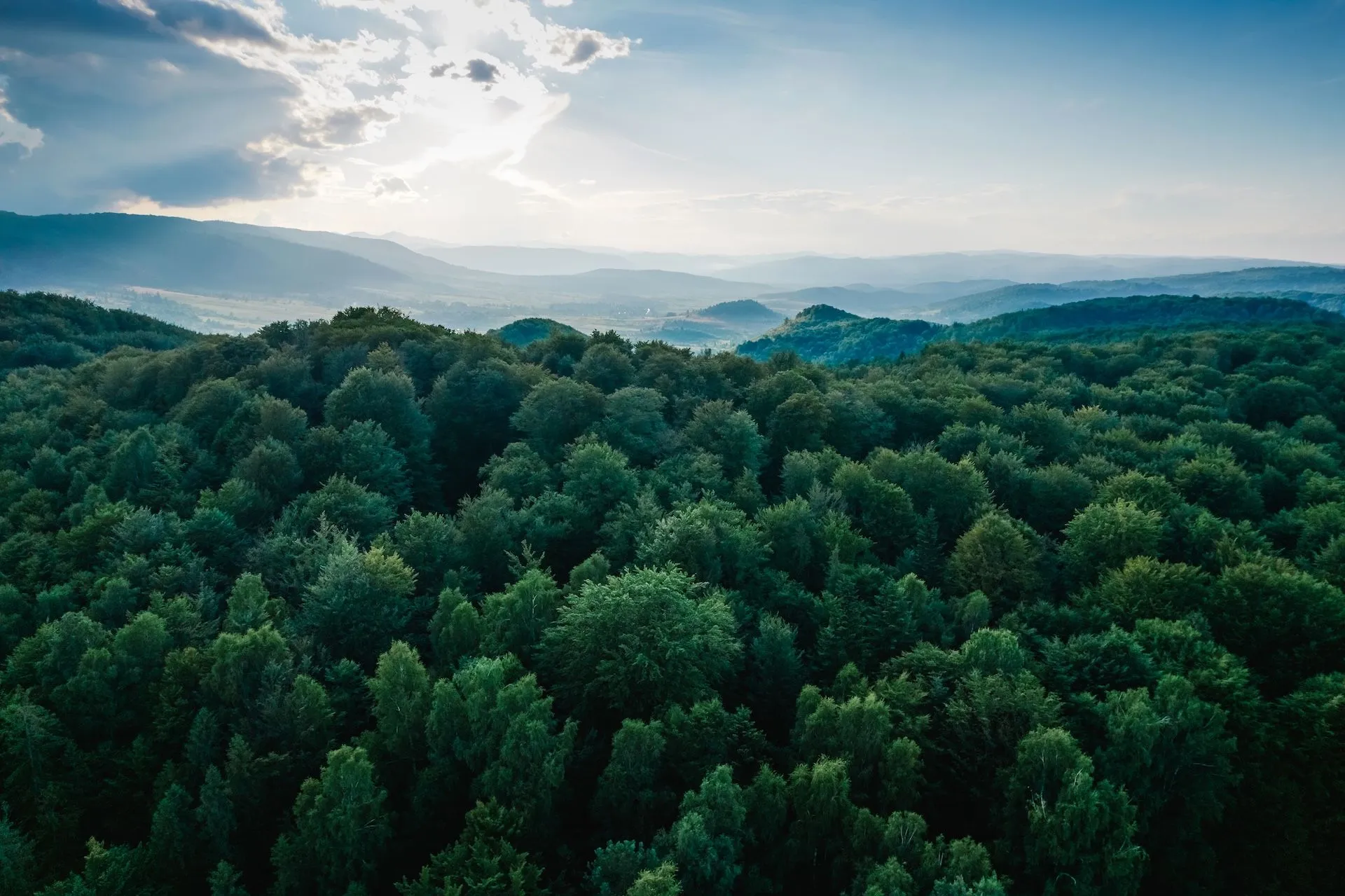 Copertina Ecologia profonda